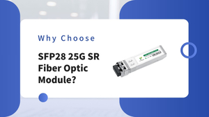 SFP28 25G SR.jpg