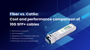 Fiber VS. Cat6a.jpg