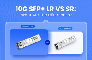 10g sr vs lr.jpg