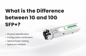 1G and 10G.jpg