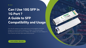 10G SFP in 1G Port.jpg