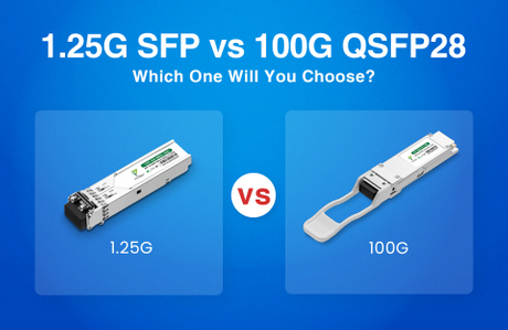 1.25G SFP vs 100G QSFP28 Which One Will You Choose.jpg