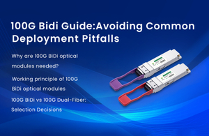 100g bidi.jpg